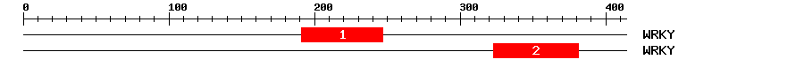 Signature Domain