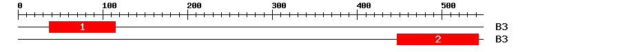 Signature Domain