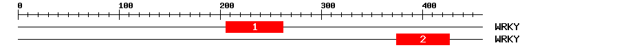 Signature Domain