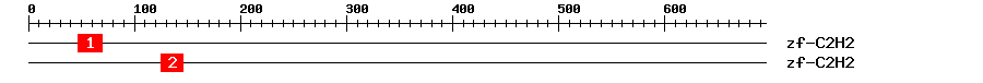 Signature Domain