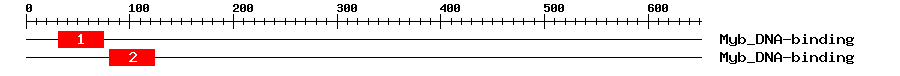 Signature Domain