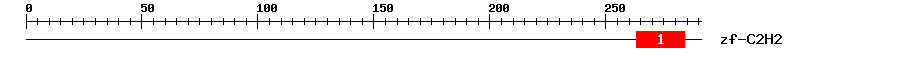 Signature Domain