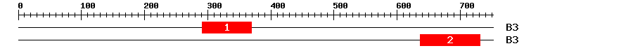 Signature Domain