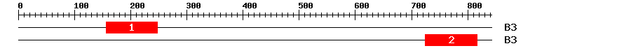 Signature Domain