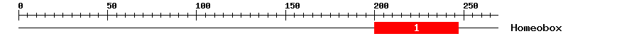 Signature Domain