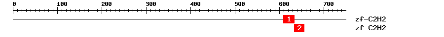 Signature Domain