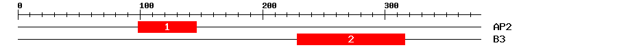 Signature Domain
