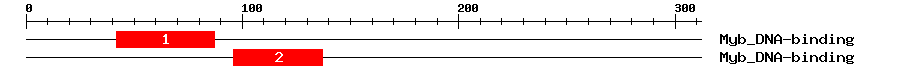 Signature Domain