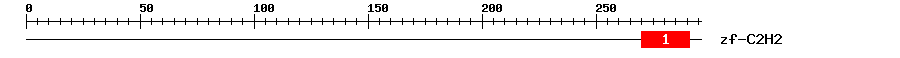 Signature Domain