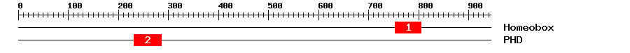 Signature Domain