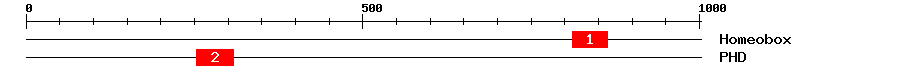 Signature Domain