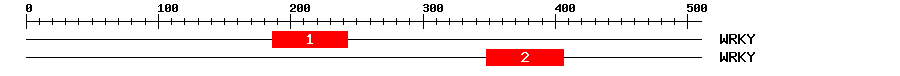 Signature Domain