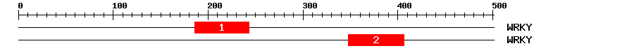 Signature Domain
