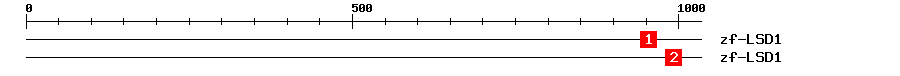 Signature Domain