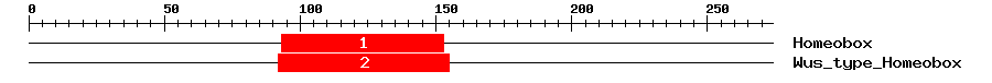 Signature Domain