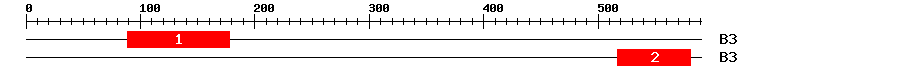 Signature Domain