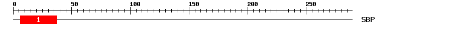 Signature Domain