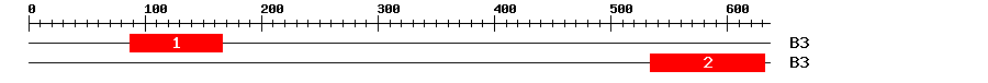 Signature Domain