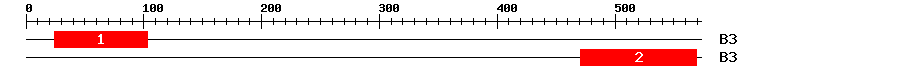 Signature Domain