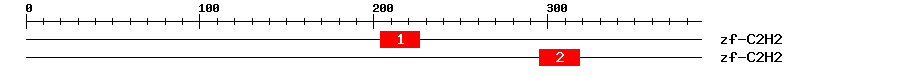 Signature Domain