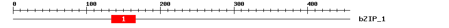 Signature Domain