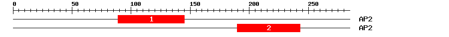 Signature Domain