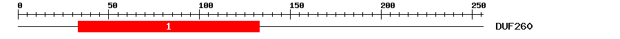Signature Domain