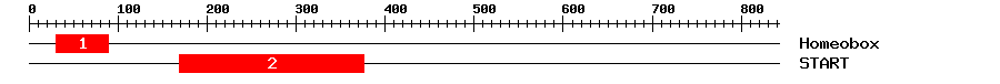 Signature Domain