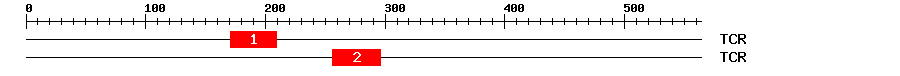 Signature Domain
