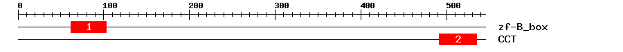 Signature Domain