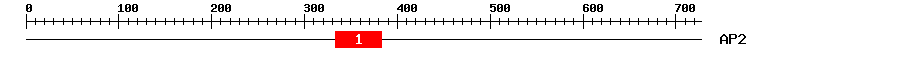 Signature Domain