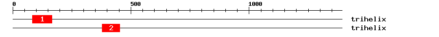 Signature Domain