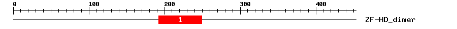 Signature Domain