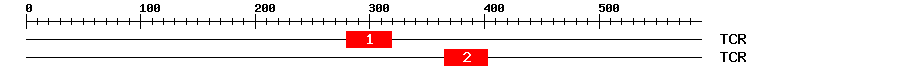 Signature Domain