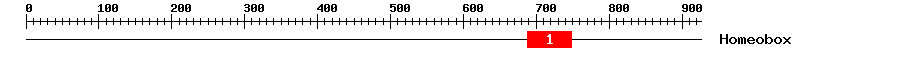 Signature Domain