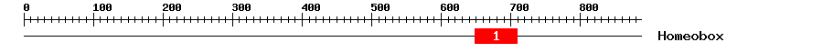 Signature Domain