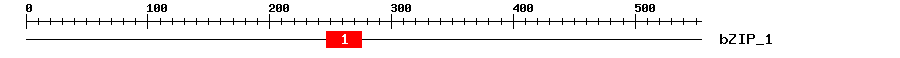 Signature Domain