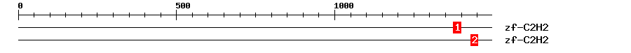 Signature Domain