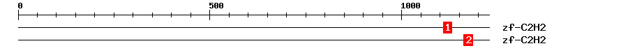 Signature Domain