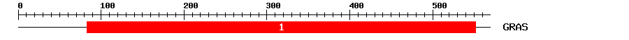 Signature Domain