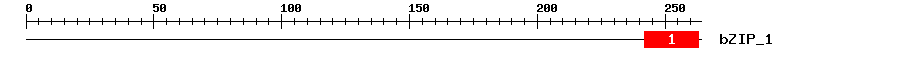 Signature Domain