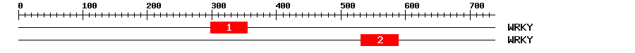 Signature Domain