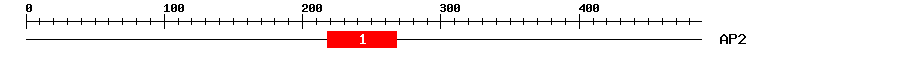 Signature Domain