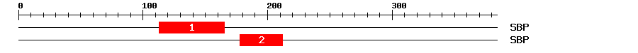Signature Domain