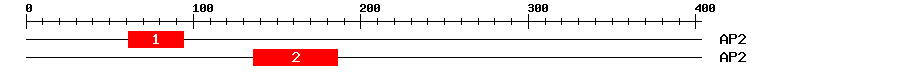 Signature Domain