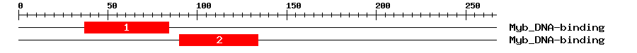 Signature Domain