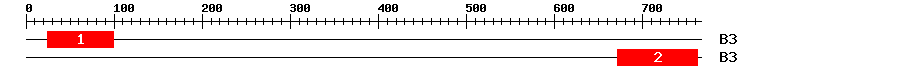 Signature Domain