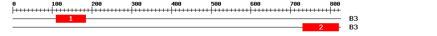 Signature Domain