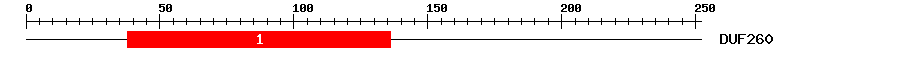 Signature Domain