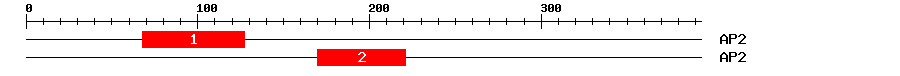 Signature Domain